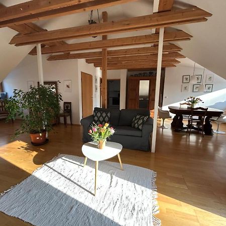 Grosse Wohnung Mit Dachterrasse In סטארנברג מראה חיצוני תמונה